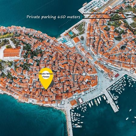 Studio Yellow Flower Rovinj Eksteriør billede