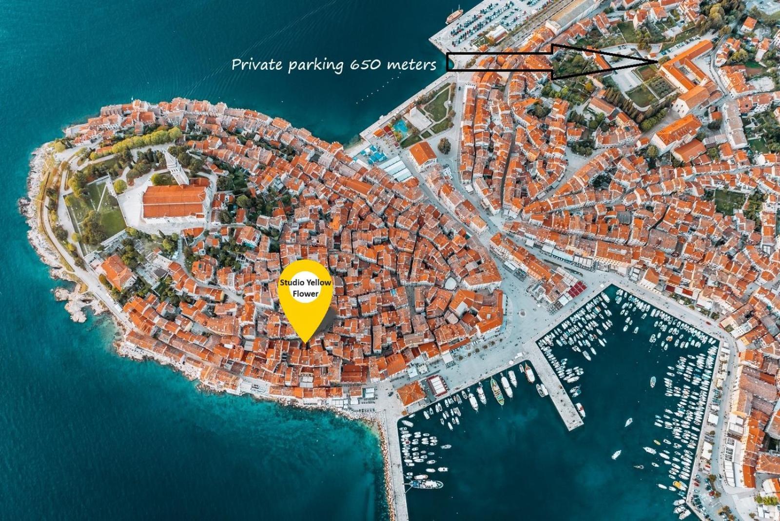 Studio Yellow Flower Rovinj Eksteriør billede