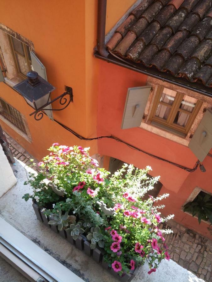 Studio Yellow Flower Rovinj Eksteriør billede